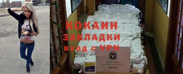 прущая мука Ельня