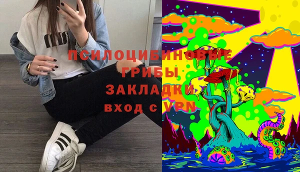 прущая мука Ельня
