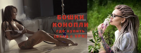 прущая мука Ельня