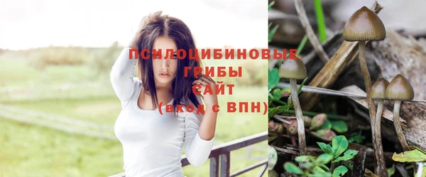 прущая мука Ельня