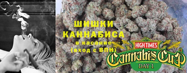 прущая мука Ельня