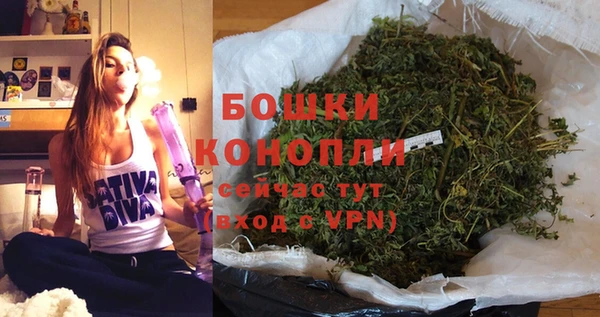дживик Елизово