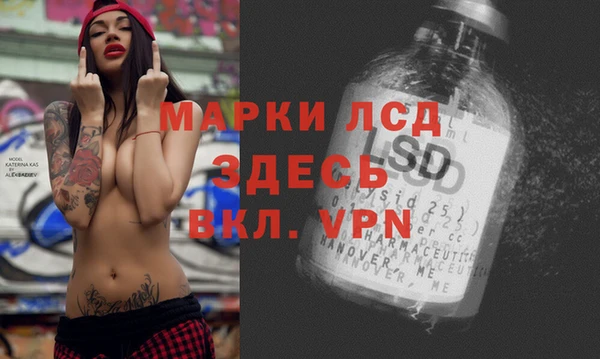 дживик Елизово