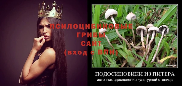 прущая мука Ельня