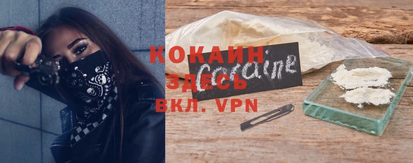 дживик Елизово